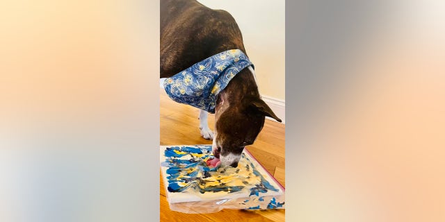 Van Gogh is shown licking the top of the plastic bag covered in peanut butter to "paint" his masterpieces.