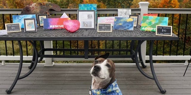 Van Gogh poses in front of a gallery of his work arranged by Happily Furever After Rescue.