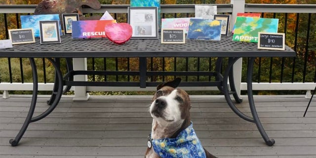 Van Gogh poses in front of a gallery of his work arranged by Happily Furever After Rescue.