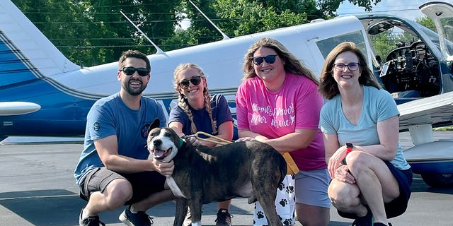 Van Gogh traveled from North Carolina to Connecticut with the help of Pilots N Paws, a nonprofit group that works with aviation volunteer pilots to help transport rescue dogs.