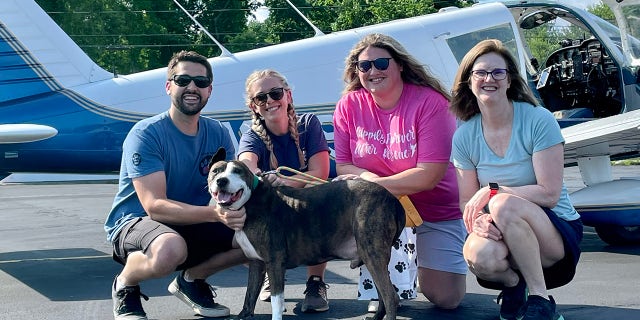 Van Gogh traveled from North Carolina to Connecticut with the help of Pilots N Paws, a nonprofit group that works with aviation volunteer pilots to help transport rescue dogs.