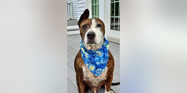 Van Gogh wears a handkerchief with a representation of "Starry Night," the famous painting by his namesake, Dutch painter Vincent van Gogh.