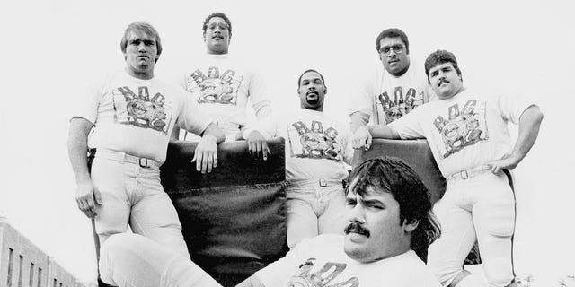 Russ Grimm (ex), Joe Jacoby, George Stark, Fred Dean, Mark May and Jeff Bostick formed a 1980s Washington Redskins unit known as the Hoggs.