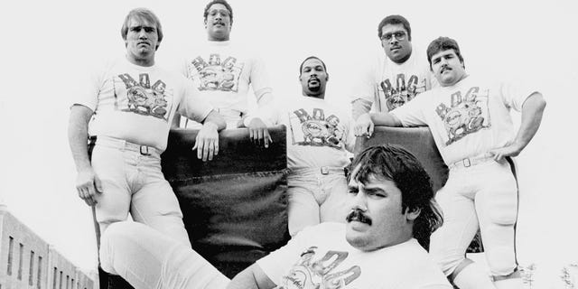 Russ Grimm (ex), Joe Jacoby, George Stark, Fred Dean, Mark May and Jeff Bostick formed a 1980s Washington Redskins unit known as the Hoggs.