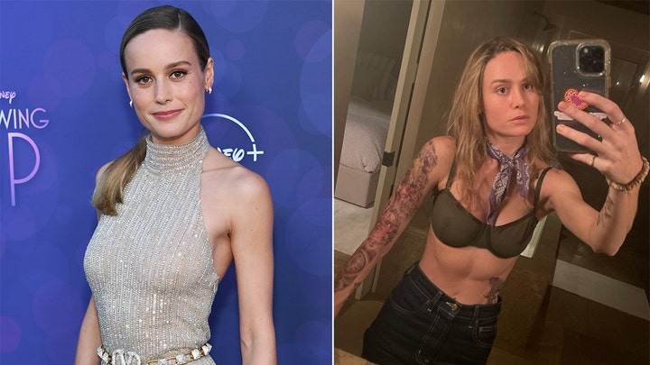 Actress Brie Larson apologizes for petting a dolphin 