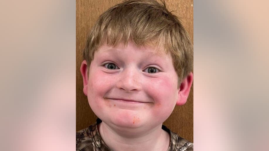Georgia boy, 11, pulled from bike and attacked by 'loose' pit bulls ...