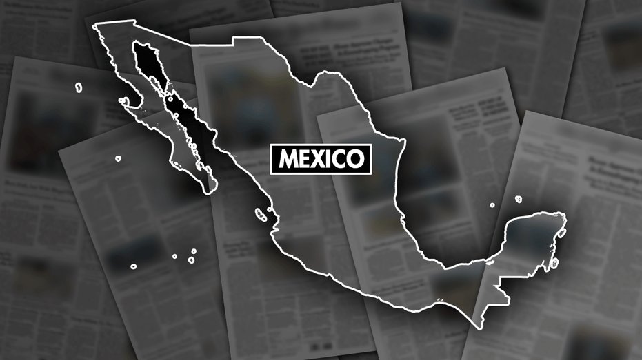 4 Mexican soldiers opened fire on pickup truck, killing 5 unarmed men