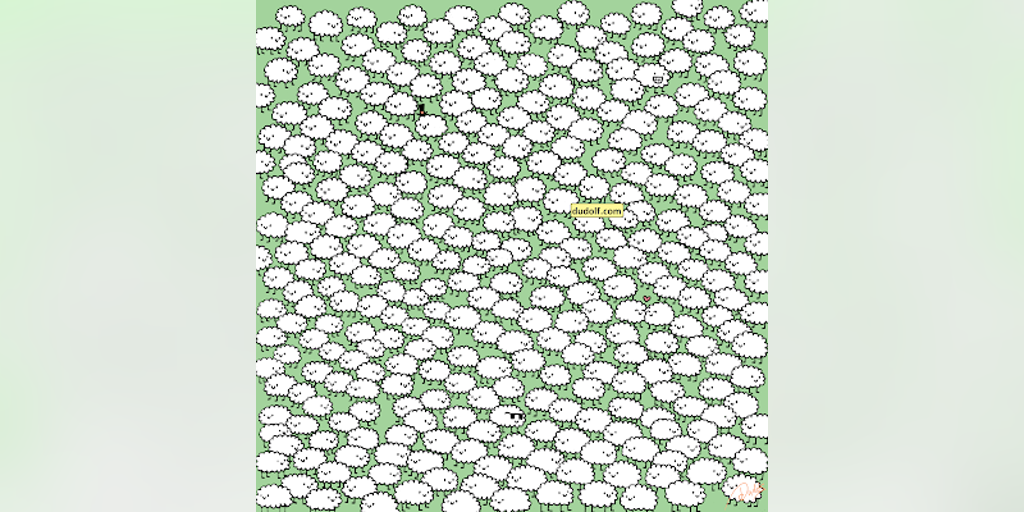 Brain teaser: Can you find 3 white clouds hidden in a flock of fluffy sheep? - Vimarsana News