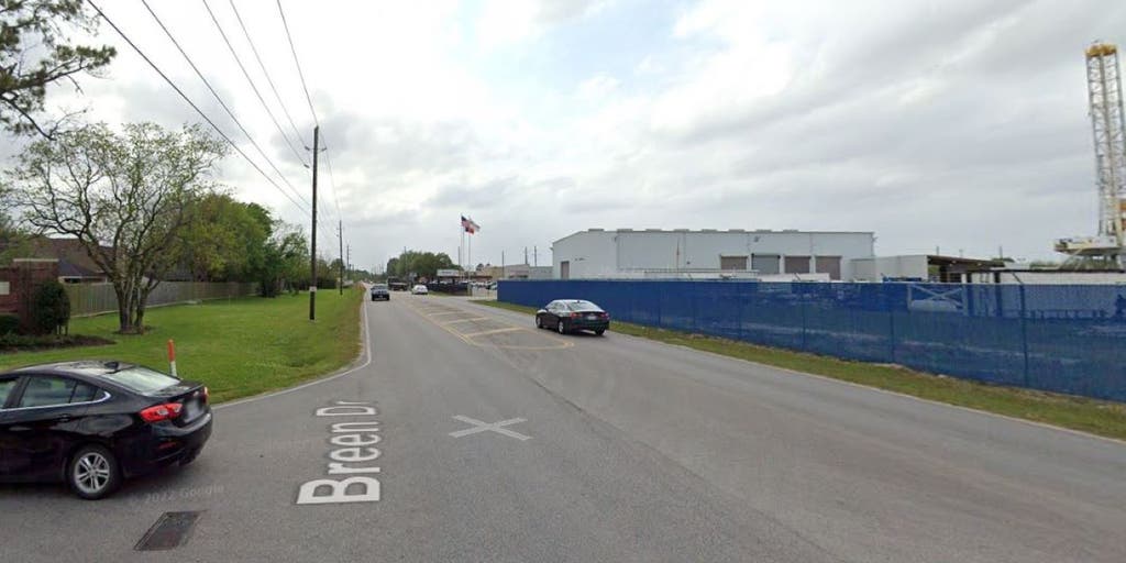 Houston man suffering mental episode struck and killed by 18-wheeler while dancing in the street - Vimarsana News