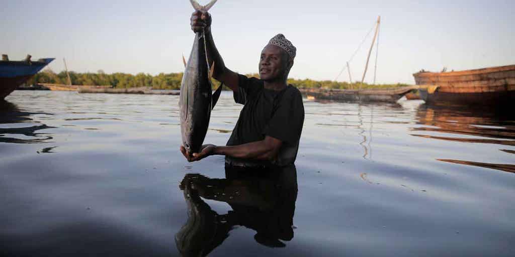 Indian Ocean countries looking to manage the ocean's tuna, European Union appears set to oppose