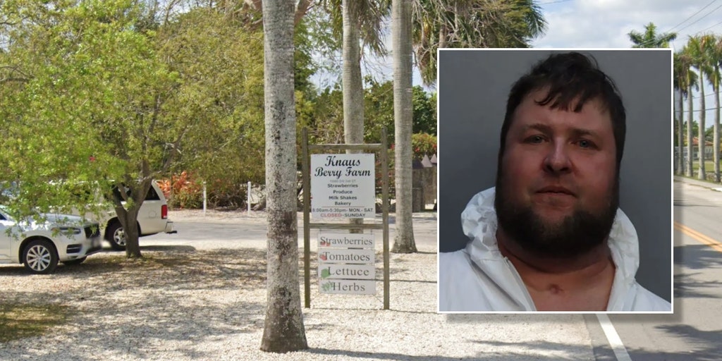 Florida bakery owner dies after allegedly being attacked by own son - Vimarsana News