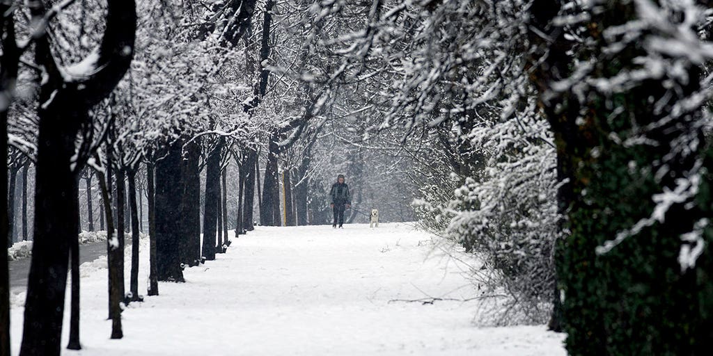Hundreds in Croatia spend night in cars, gas stations after snowstorm brings traffic to a halt - Vimarsana News