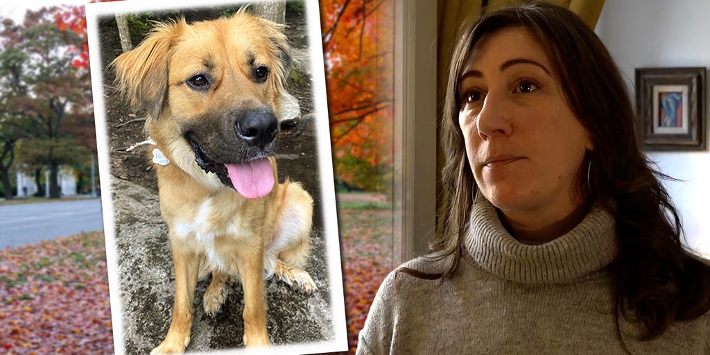A New York woman was beaten and maced — and her dog was killed. This is her fight for justice - Vimarsana News