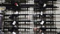 AR-15 style rifles are displayed for sale at a gun store. A California court recently upheld a ban on assault weapons like the AR-15 rifle.