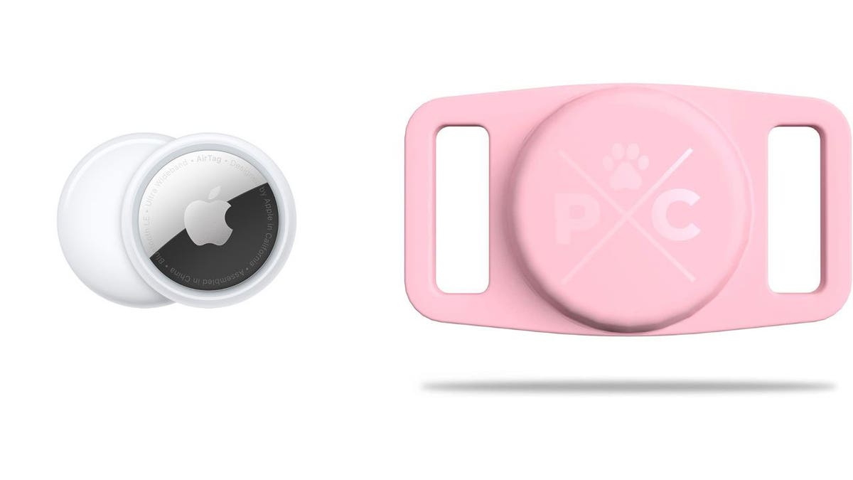 Apple AirTag on the left and pink Pup Control on the right.