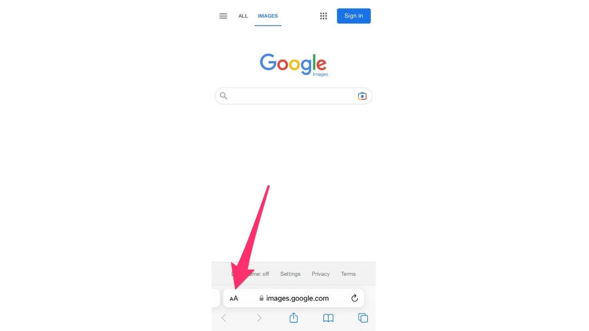 Google search bar 