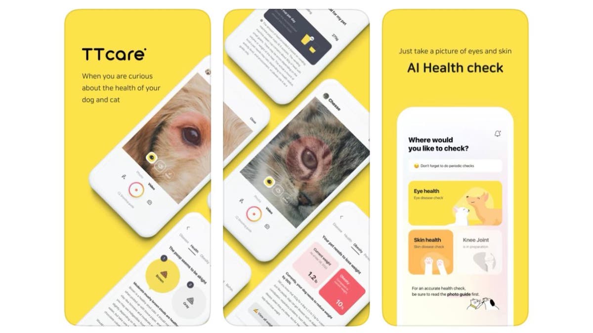 Pet health breakthrough app can detect when your dog or cat is sick