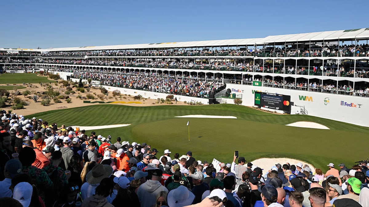 Streaker steals the show at 16th hole of Waste Management Phoenix Open Fox News