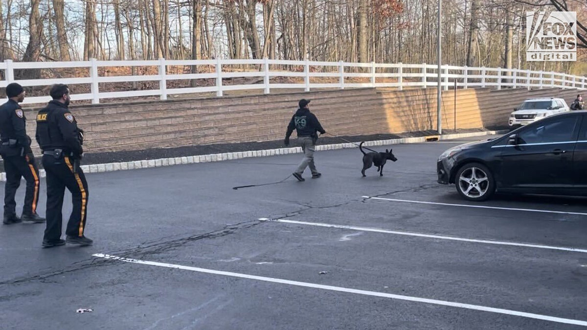K-9 with police in parking lot
