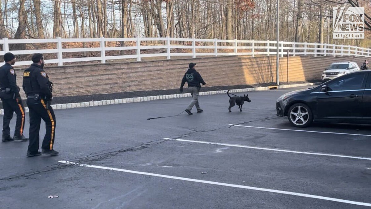 K-9 with police