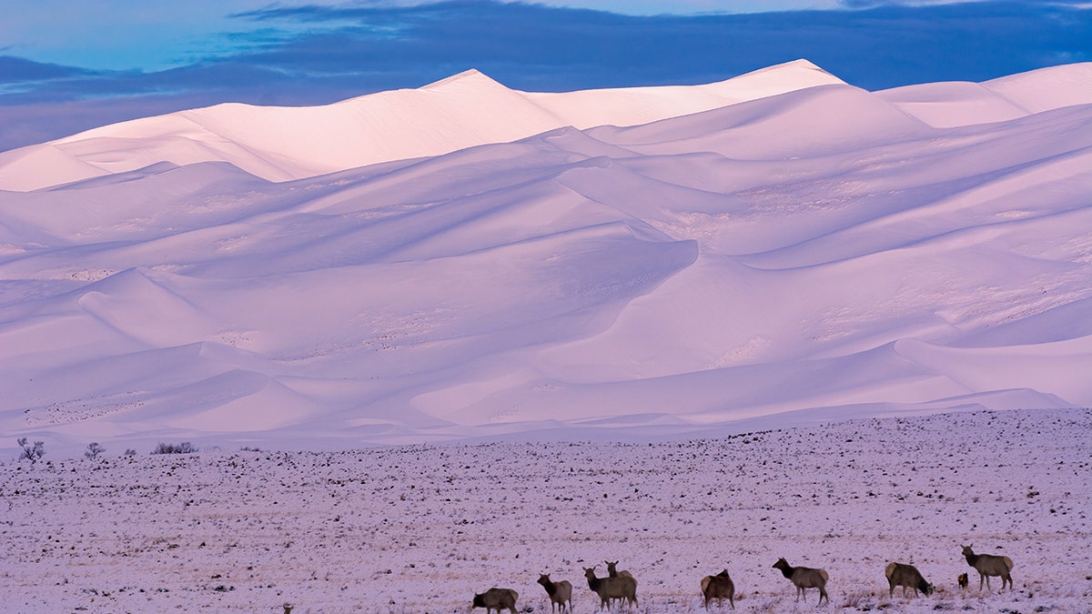 Yellowstone, Grand Canyon under snow: 20 dazzling photos of America’s national parks this winter