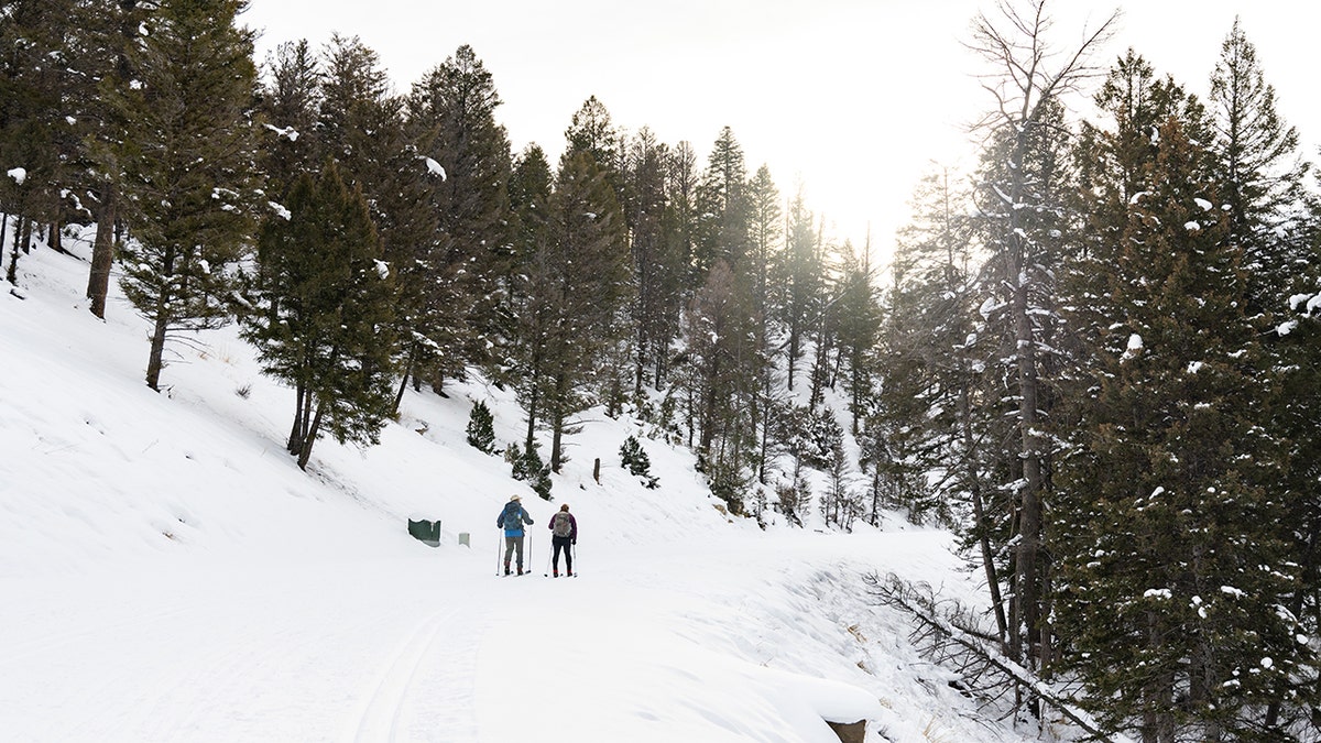 crosscountry skiing yellowstone