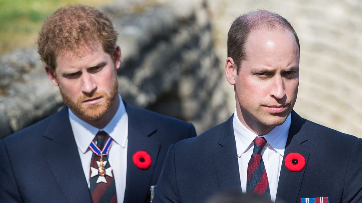 Prince Harry and Prince William appearing somber together