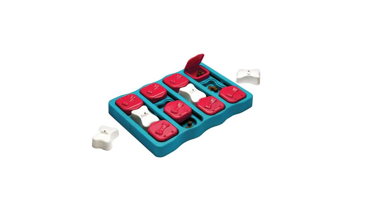 Interactive dog puzzle toy