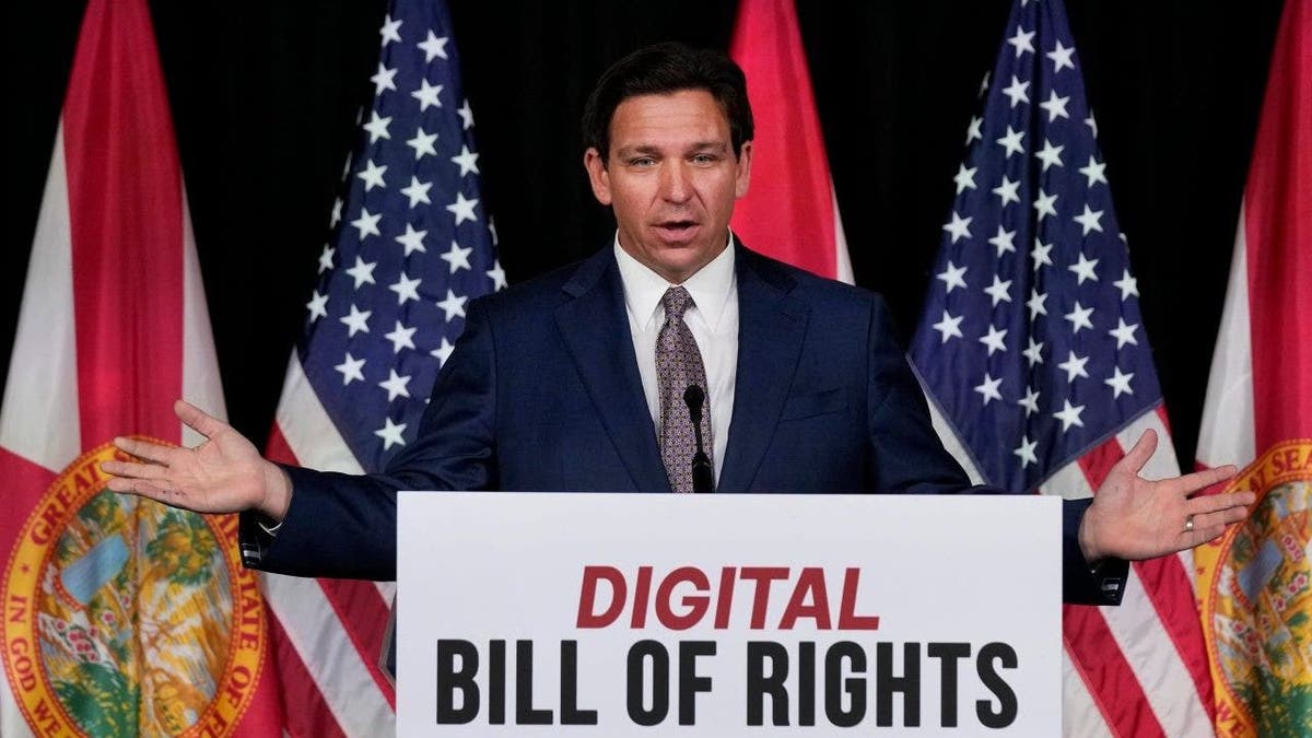 Florida Gov. Ron DeSantis speaks as he announces a proposal