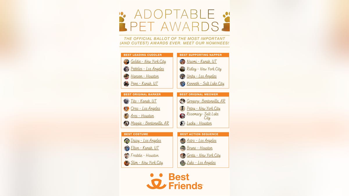 Adoptable pet awards