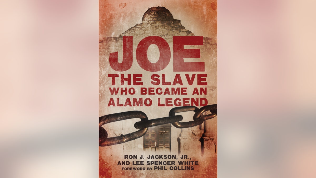 Joe the Slave Alamo book