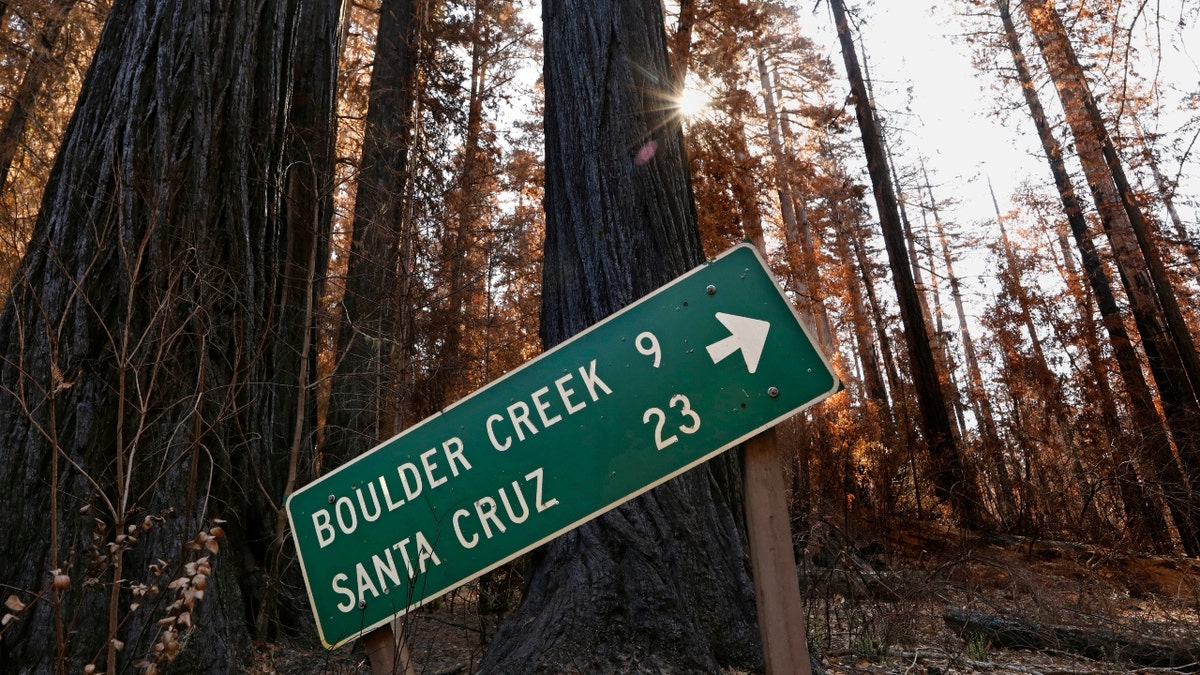 The Big Basin Redwoods State Park