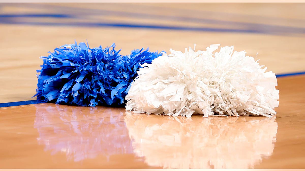 Cheerleader pom poms