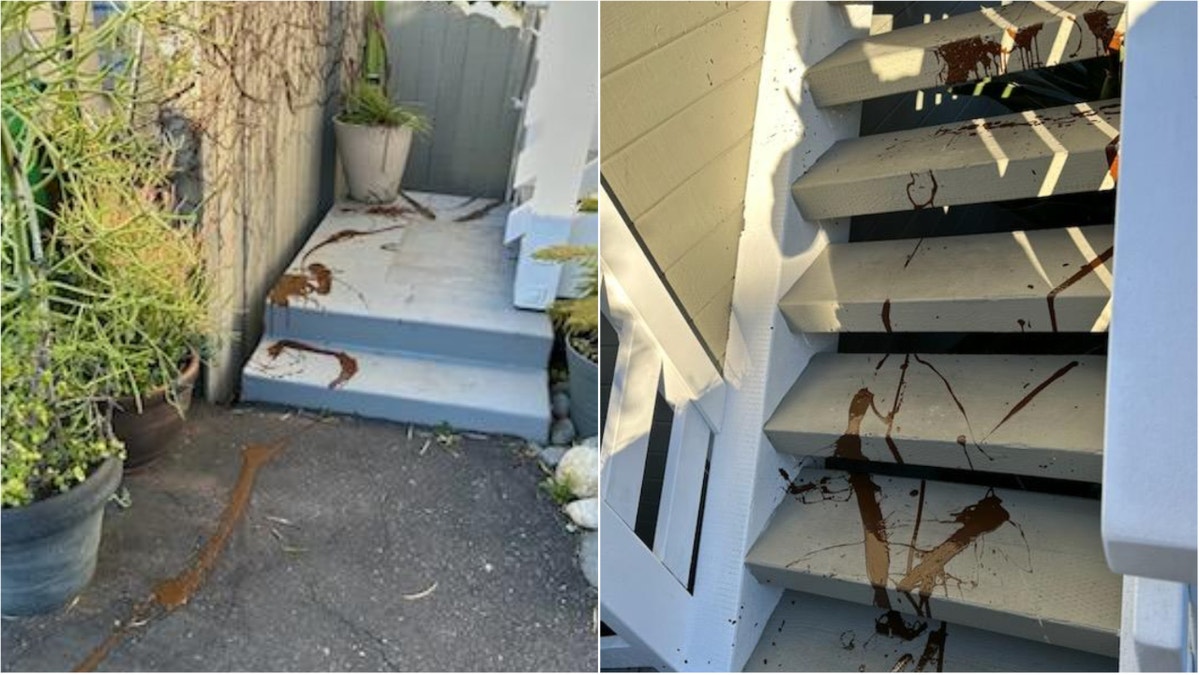 photos of feces on porch of Laguna Beach official's house