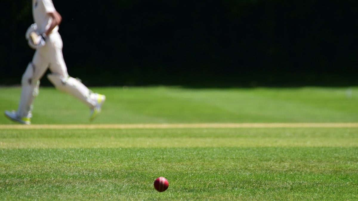 Cricket ball on field