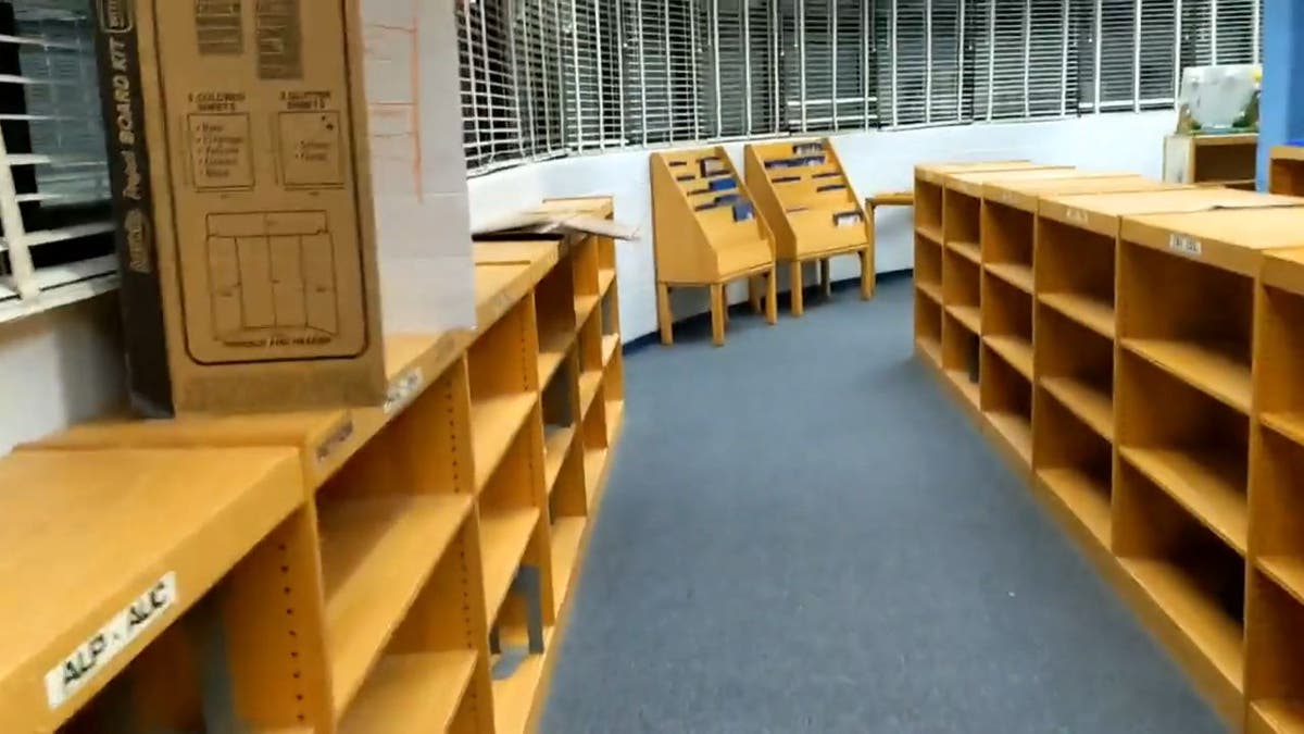 Photo of empty library shelves