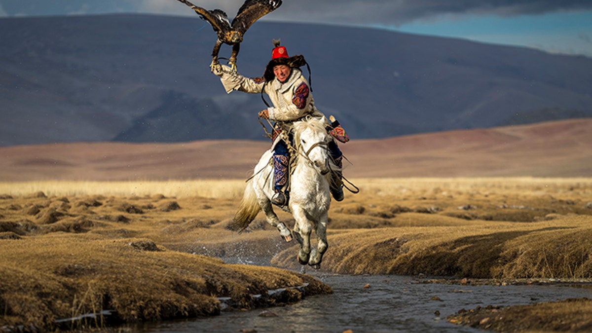 eagle hunter mongolia