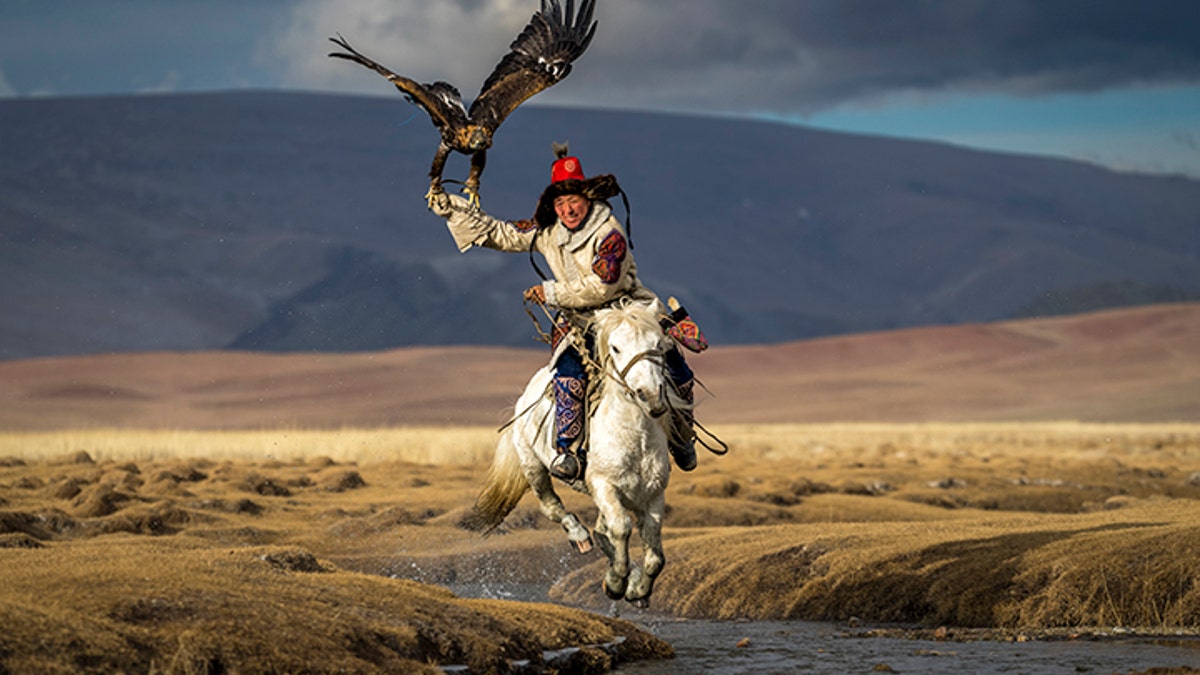 eagle hunter mongolia