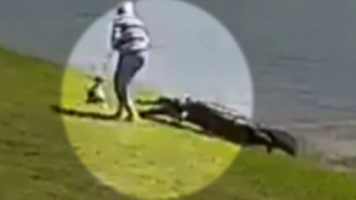 Moments Before Fatal Florida Gator Attack On 85-year-old Woman Caught ...