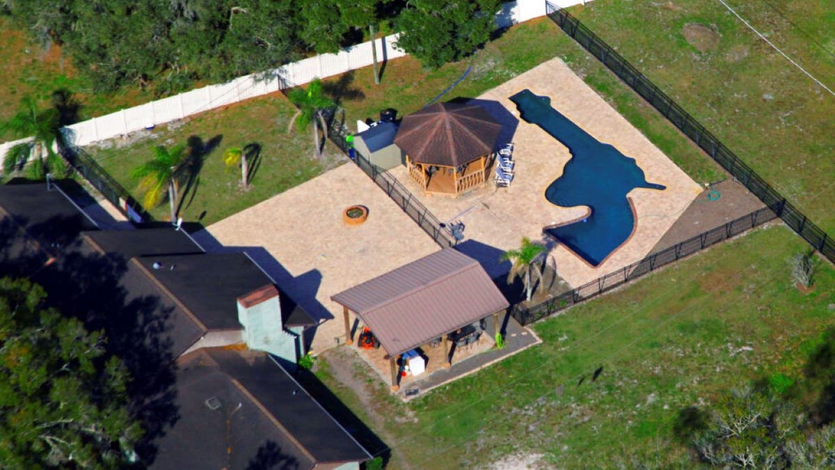 Florida gun shaped pool