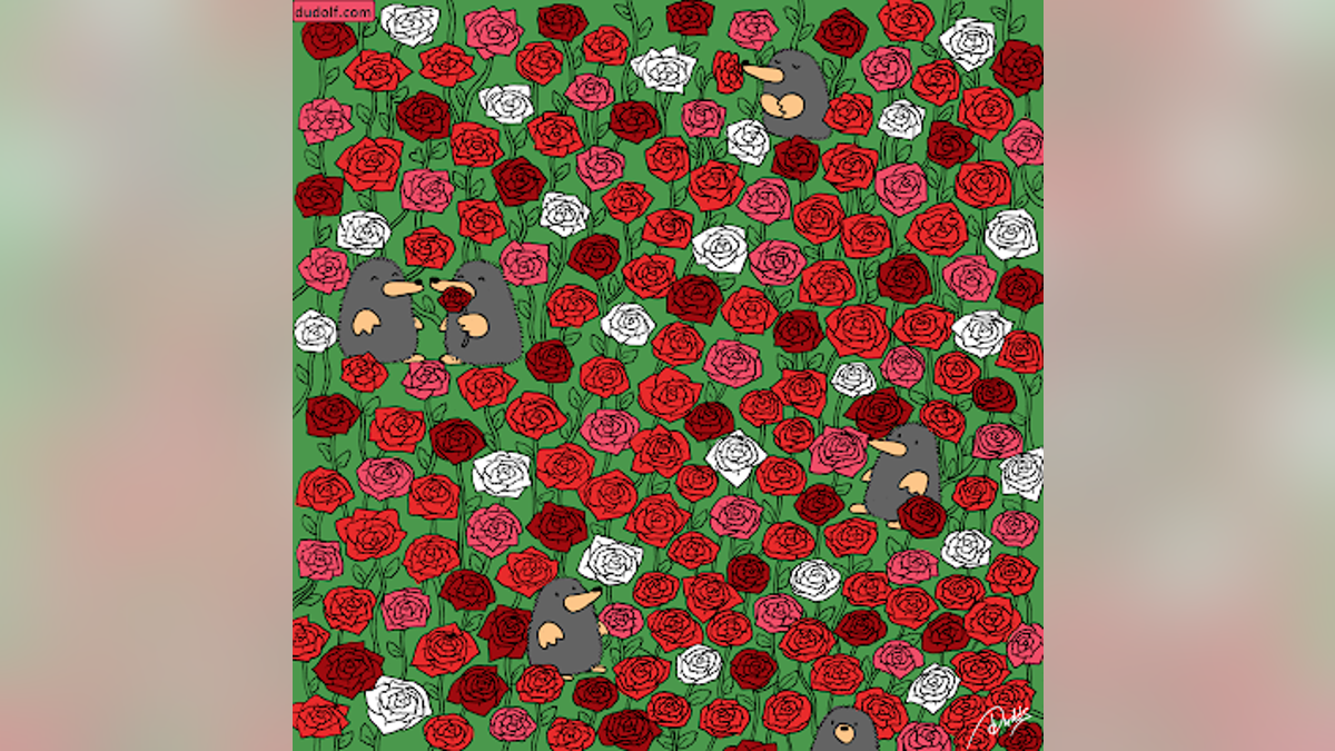 A Valentine's Day-themed drawing of three hearts hidden in a field of roses