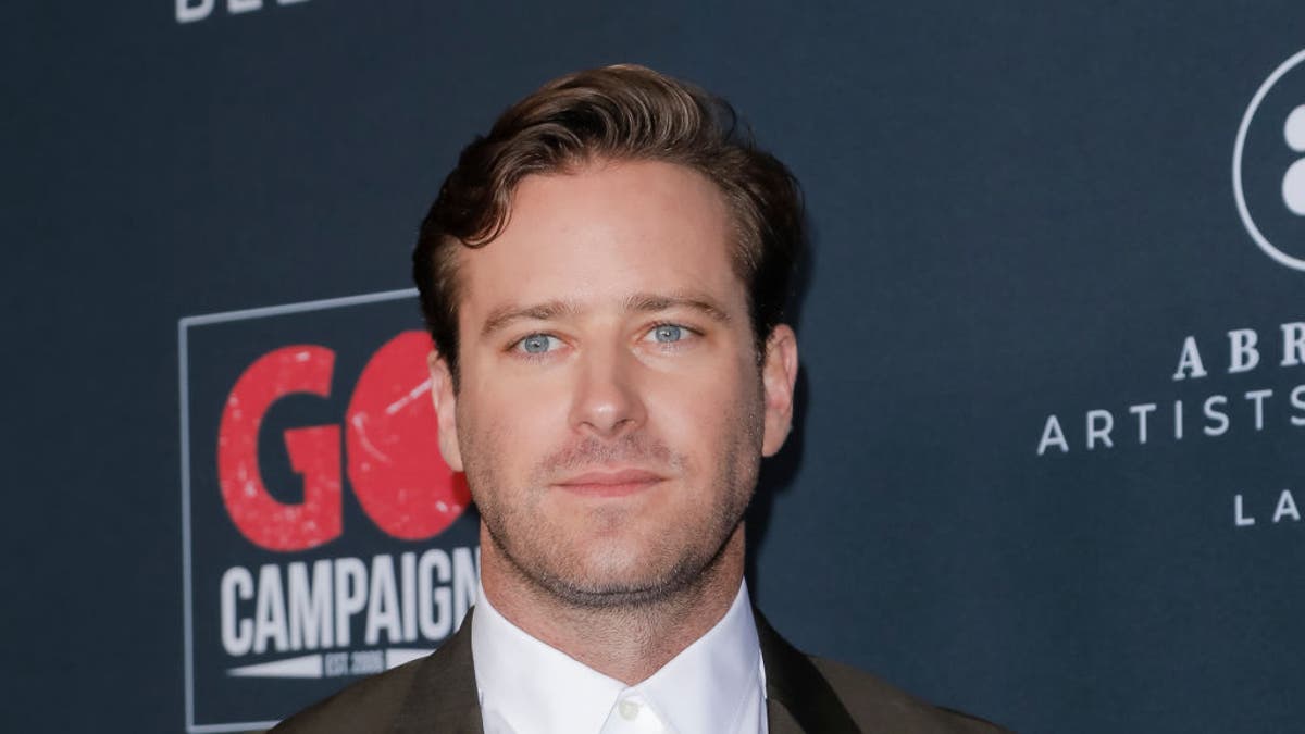 armie hammer red carpet 2019