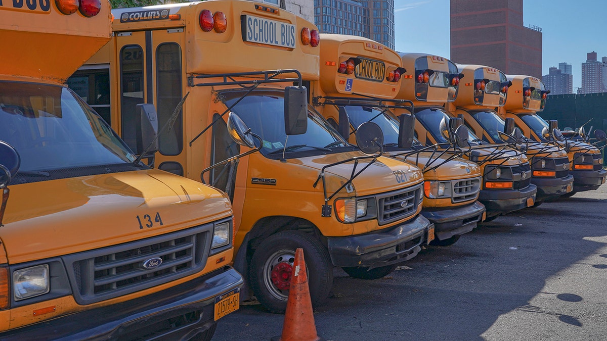New York City parked school buses