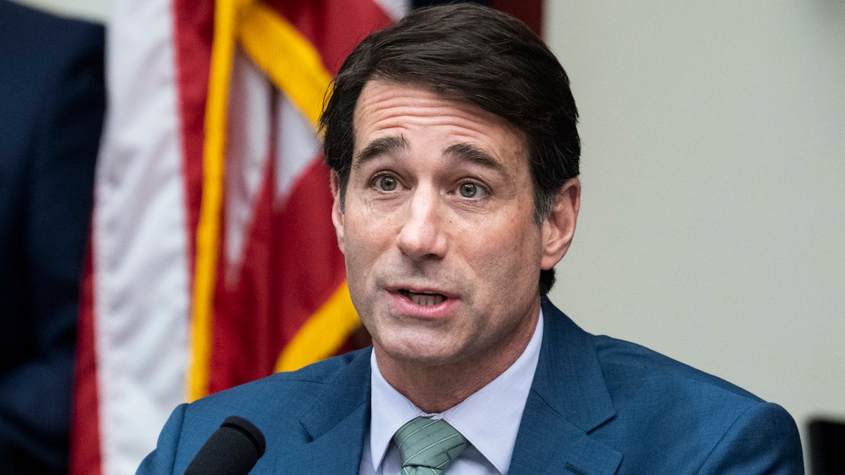 Rep. Garret Graves, R-La., speaks during a hearing on Feb. 7.