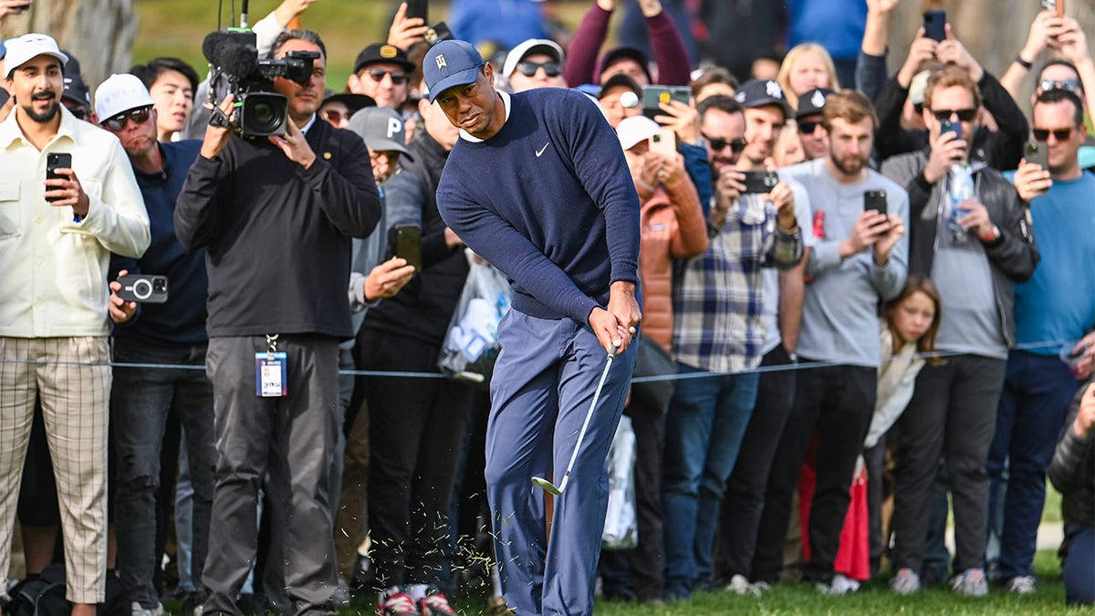 Tiger Woods chips at the 12th at the Genesis Invitiational