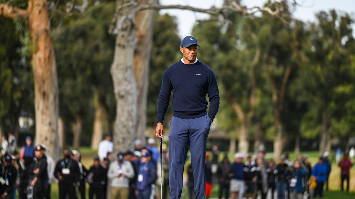 Tiger Woods waits to putt on the 12th hole