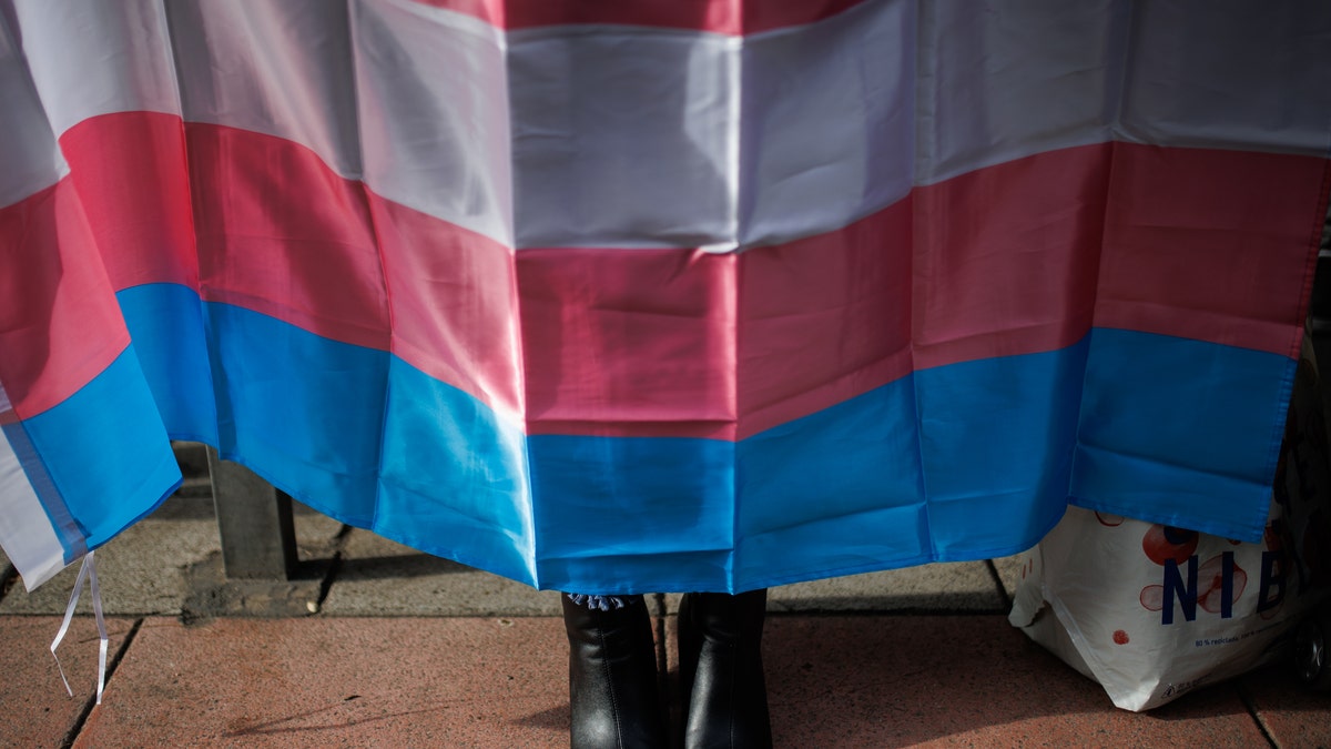 Transgender flag being held