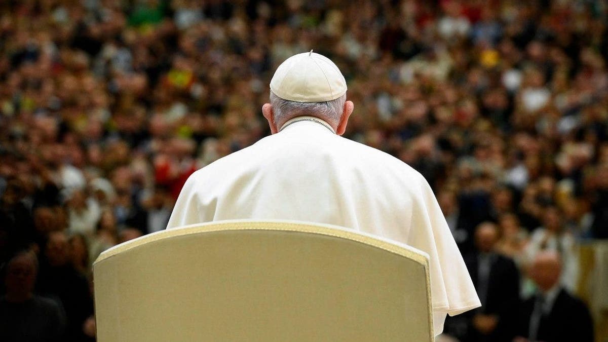 Pope Francis seen from behind addressing a general audience