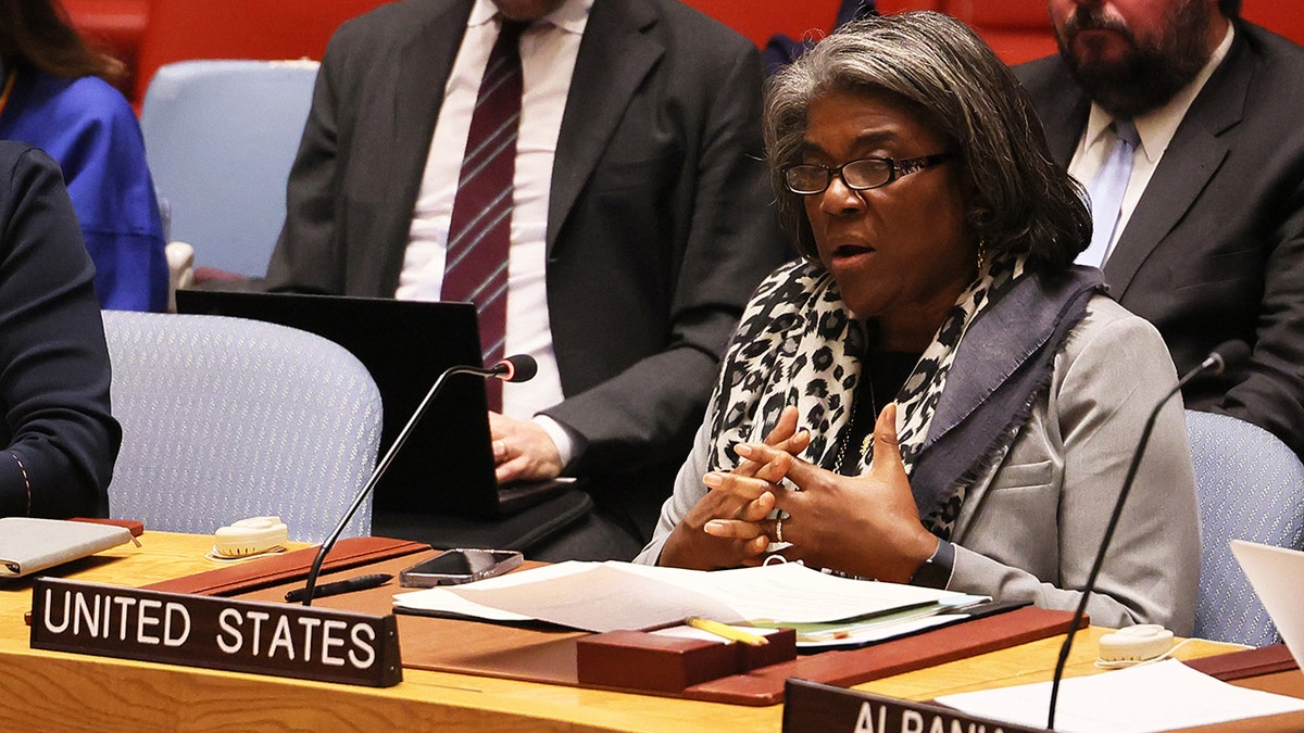 Linda Thomas-Greenfield at the UN