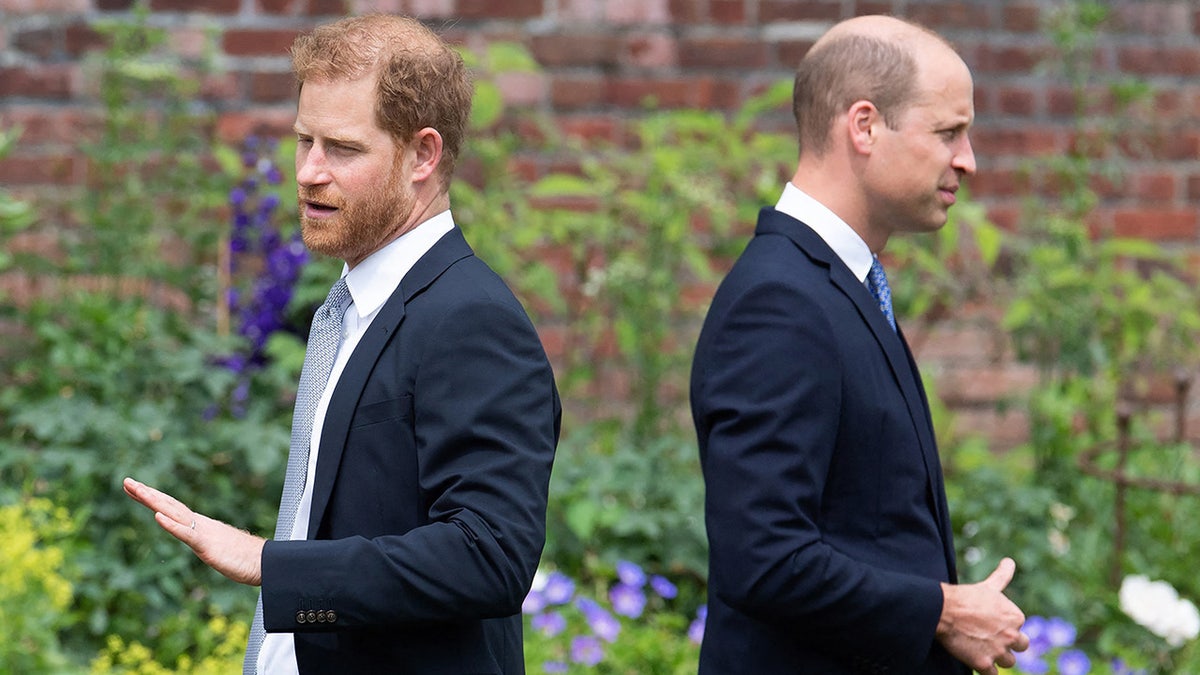 Prince Harry and Prince William having their backs turned to each other while honoring their mother Princess Diana